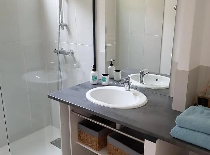 公寓 L'arbre 勒芒